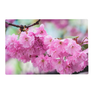 Cherry Blossom Placemats Zazzle