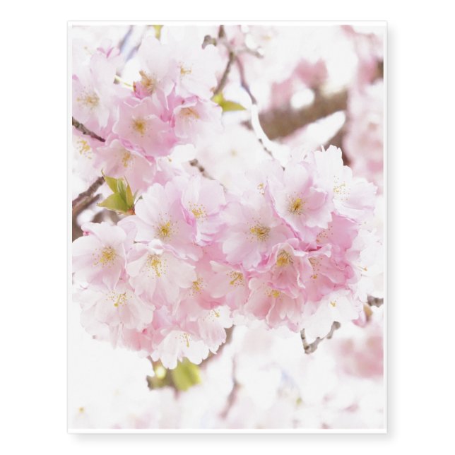 Cherry Blossom Sakura Temporary Tattoos (Front)