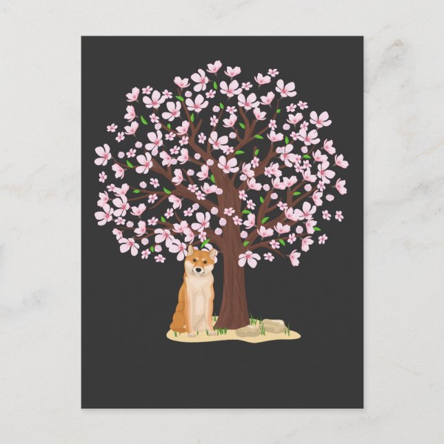 Cherry Blossom Shiba Inu Japanese Dog Sakura Tree Postcard (Front)