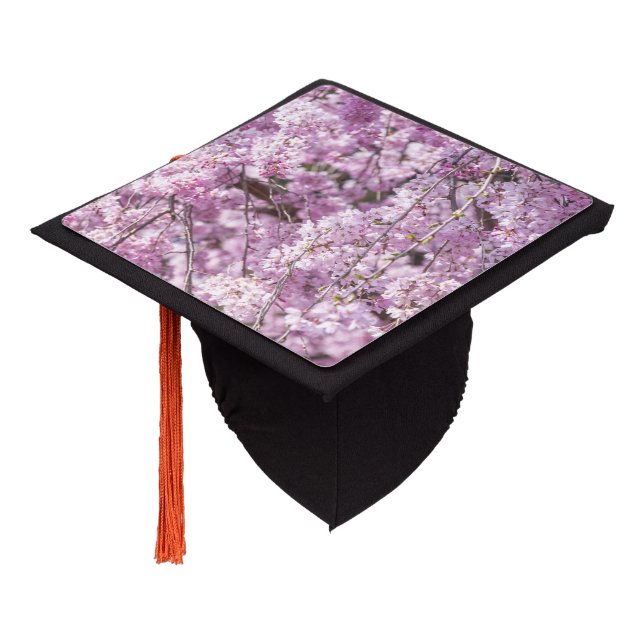てぃんくる ロウきゅーぶ版画 CHERRY BLOSSOM GRADUATION Cherry Blossom Spring Graduation Cap Topper | Zazzle