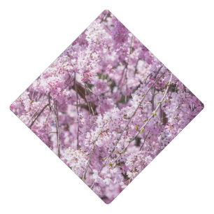 Cherry Blossom Spring Graduation Cap Topper