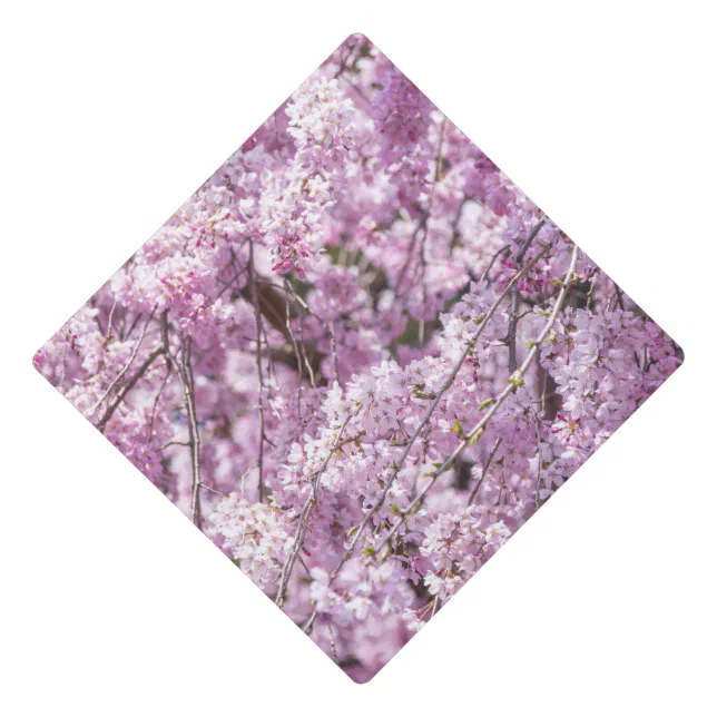 てぃんくる ロウきゅーぶ版画 CHERRY BLOSSOM GRADUATION Cherry Blossom Spring Graduation Cap Topper | Zazzle