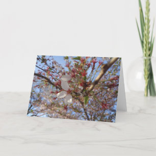 Cherry Blossom Spring Greeting Card