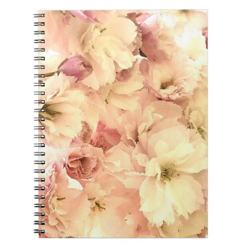 Cherry Blossom spring photo pink and cream pretty Notebook