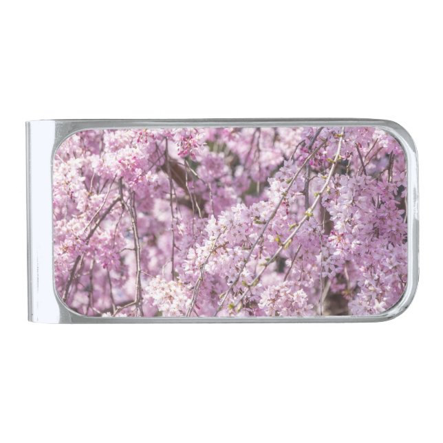 Cherry Blossom Spring Silver Finish Money Clip (Front)
