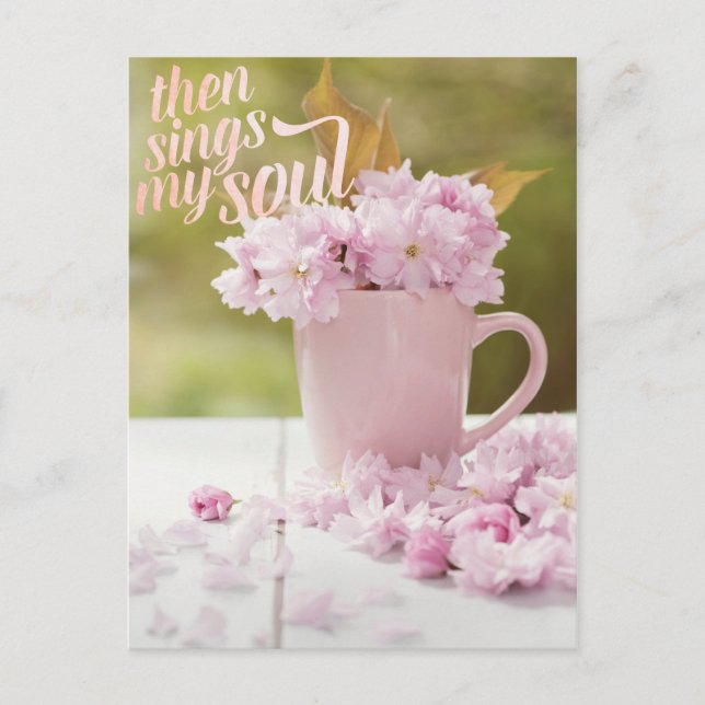 Cherry Blossom Stilllife Spring Text Postcard (Front)