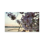 Cherry Blossom Sunset in Washington DC Business Card