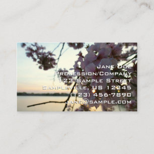 Cherry Blossom Sunset in Washington DC Business Card