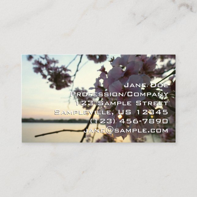 Cherry Blossom Sunset in Washington DC Business Card (Front)
