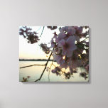Cherry Blossom Sunset in Washington DC Canvas Print