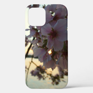 Cherry Blossom Sunset in Washington DC iPhone 12 Case