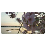 Cherry Blossom Sunset in Washington DC License Plate