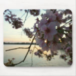 Cherry Blossom Sunset in Washington DC Mouse Pad