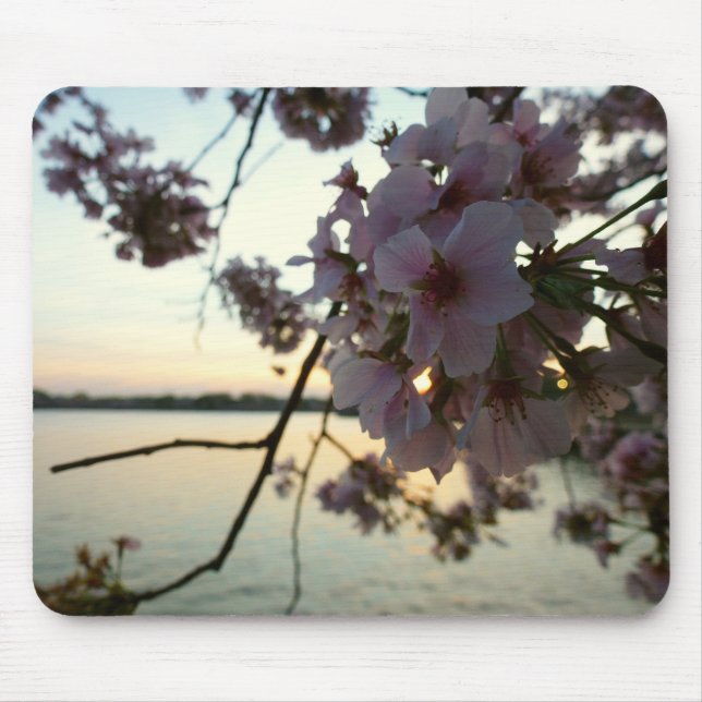 Cherry Blossom Sunset in Washington DC Mouse Pad (Front)