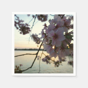 Cherry Blossom Sunset in Washington DC Napkins