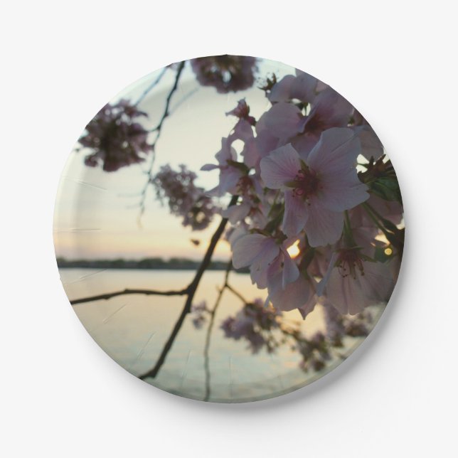 Cherry Blossom Sunset in Washington DC Paper Plates (Front)
