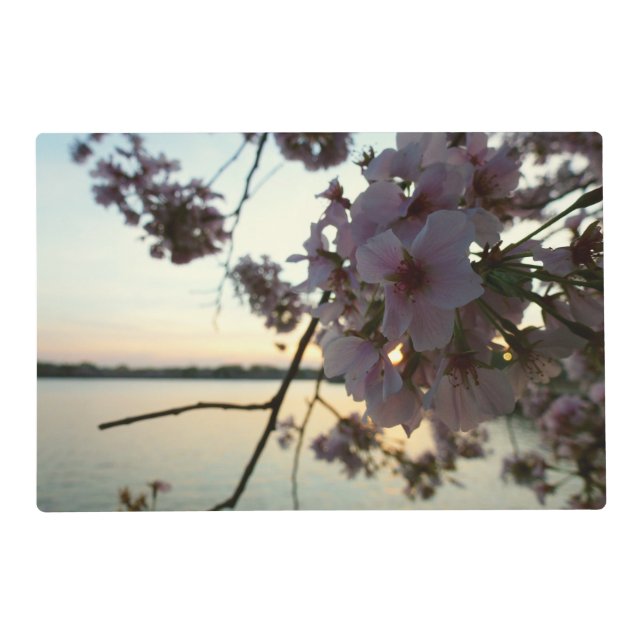 Cherry Blossom Sunset in Washington DC Placemat (Front)