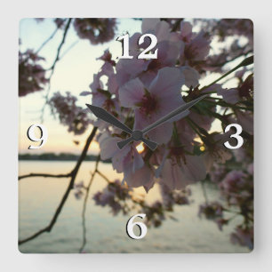 Cherry Blossom Sunset in Washington DC Square Wall Clock