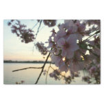 Cherry Blossom Sunset in Washington DC Tissue Paper