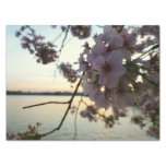 Cherry Blossom Sunset in Washington DC Tissue Paper