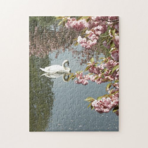 Cherry Blossom Swan Nature Photo Jigsaw Puzzle