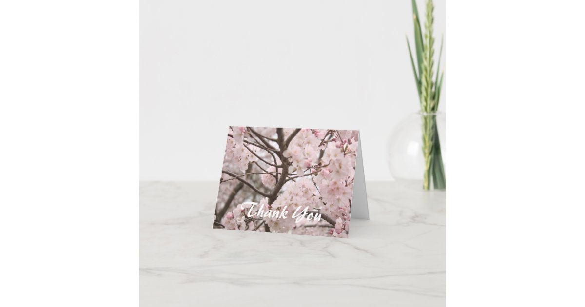 Cherry Blossom Thank You Card | Zazzle