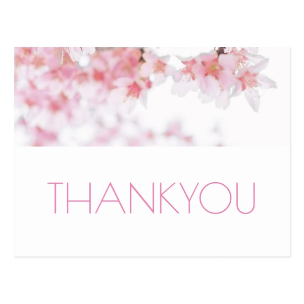 37+ Cherry Blossom Postcards Thank You Thank You Cards | Zazzle