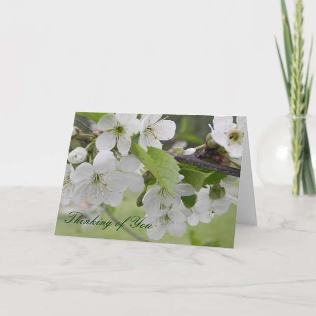 cherry blossom, Thinking of You Card (Front)