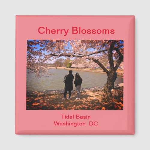 Cherry Blossom Time at the Tidal Basin Magnet