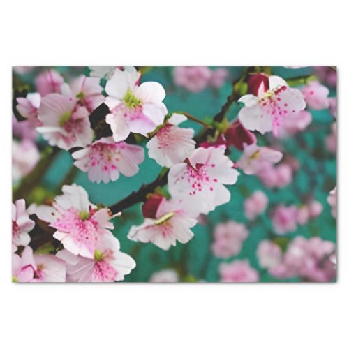 Cherry Blossom Tissue Paper