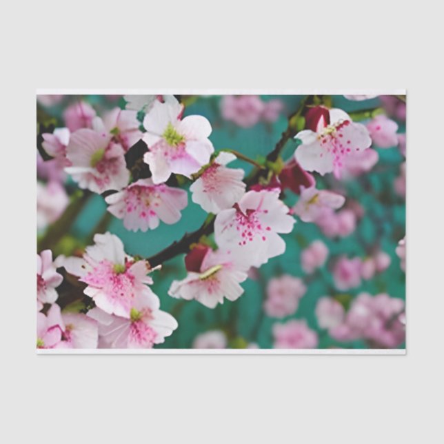 Cherry Blossom Tissue Paper (Front)