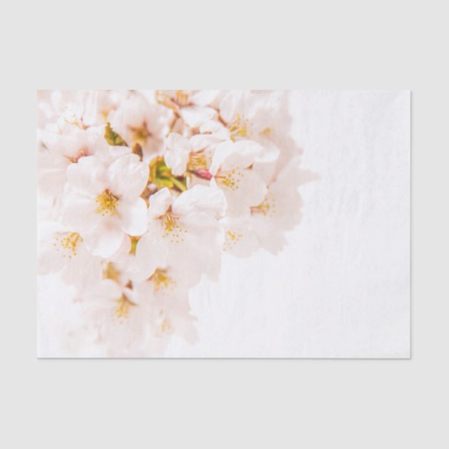 Cherry Blossom Tissue Paper (Front)