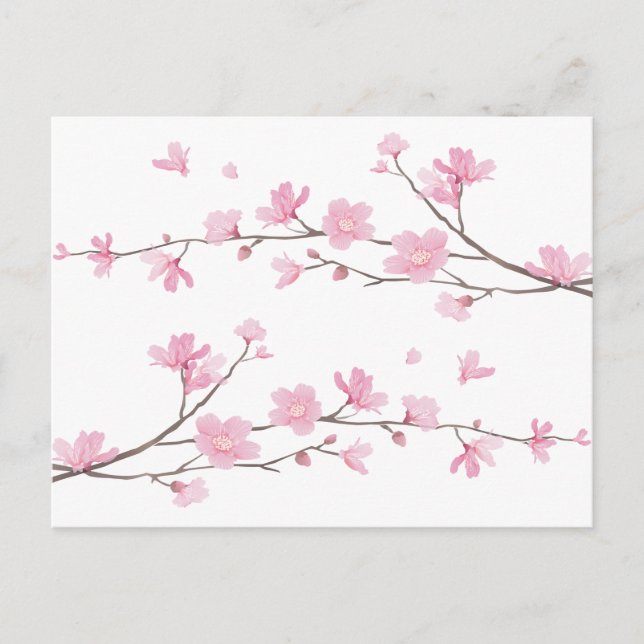 Cherry Blossom - Transparent-Background Postcard (Front)