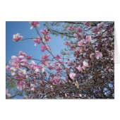 Cherry Blossom Tree (Front Horizontal)