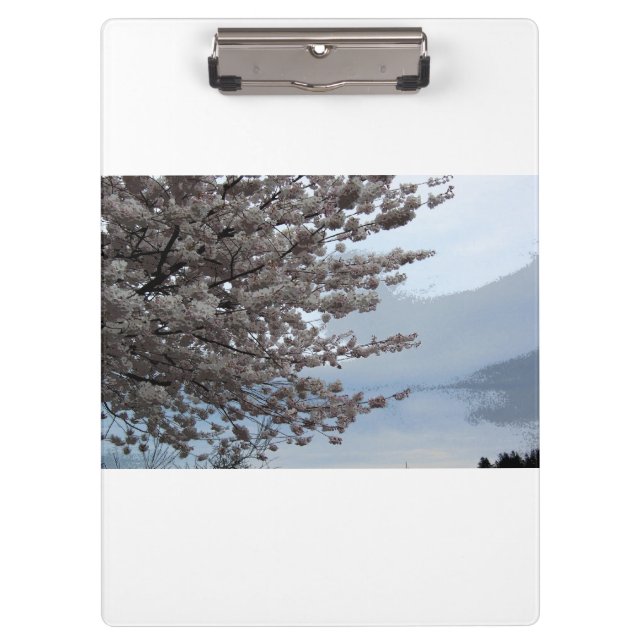 Cherry Blossom Tree Art White Clipboard (Front)