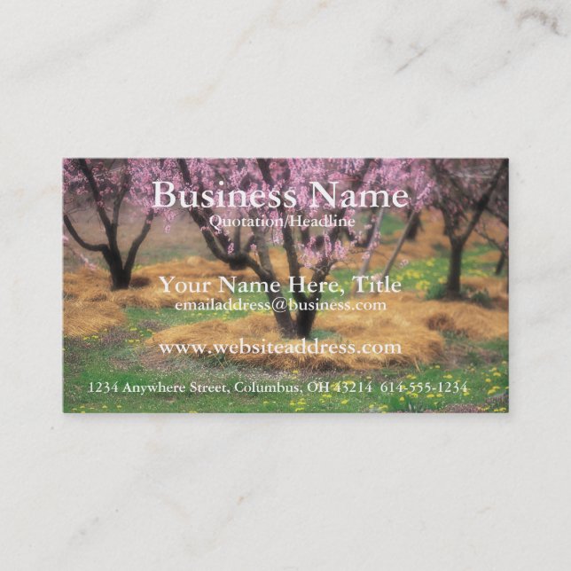 Cherry Blossom Tree - Business Cards (Front)