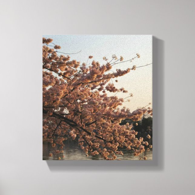Cherry Blossom Tree Canvas Print (Front)