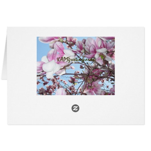 Cherry Blossom Tree Cards (Back Horizontal)