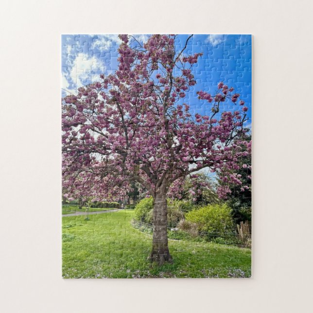 Cherry Blossom Tree Park in Brighton Spring time Jigsaw Puzzle (Vertical)