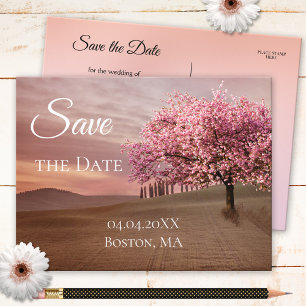 Cherry Blossom Tree Save the Date Postcard