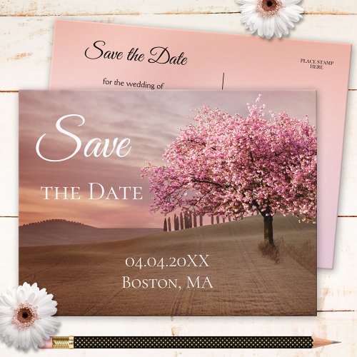 Cherry Blossom Tree Save the Date Postcard