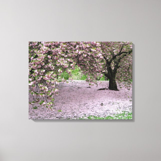 cherry blossom tree three panel wrapped canvas print (Front)
