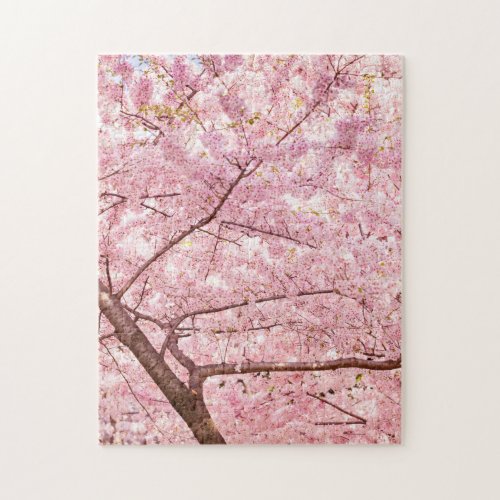 Cherry Blossom Trees Jigsaw Puzzle