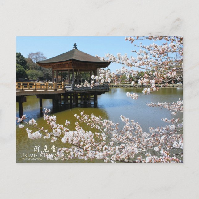Cherry Blossom Viewing Postcard (Front)