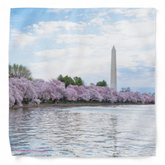 Cherry Blossom Washington DC Bandanna