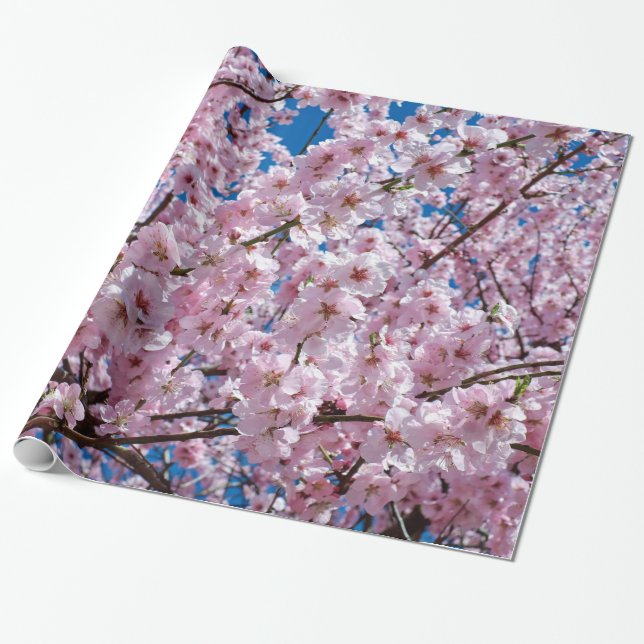 Cherry blossom wrapping paper (Unrolled)