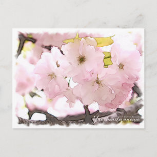 Cherry Blossom "Yae-benitoranowo" Postcard