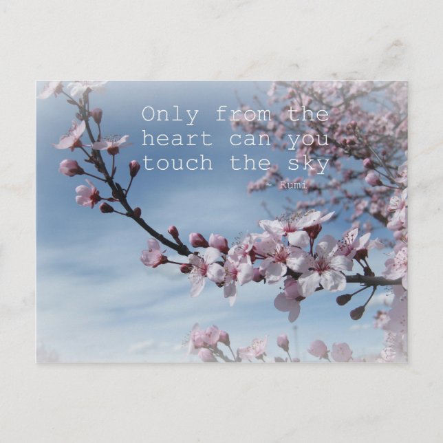 Cherry Blossom Zen Flowering Tree Post Card (Front)