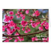 Cherry Blossoms (Front Horizontal)