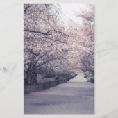 Cherry Blossoms (Front)